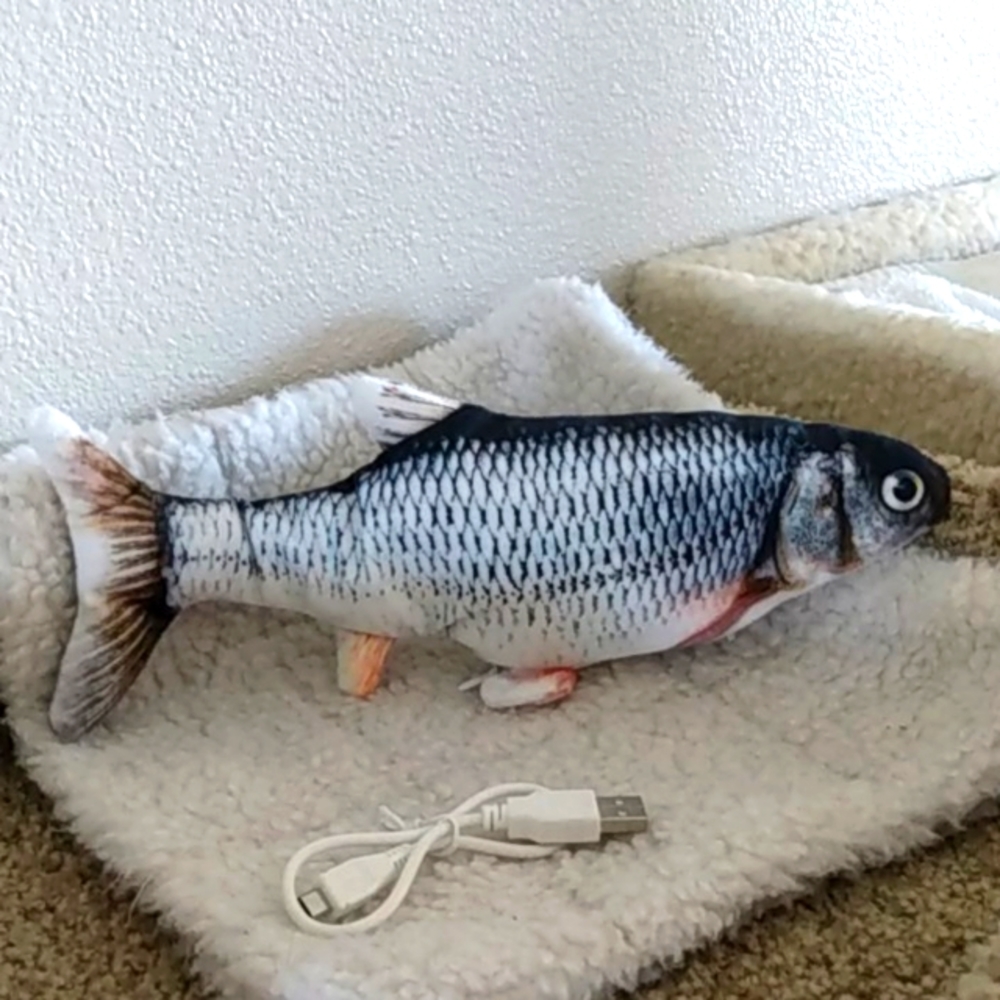Floppy Fish